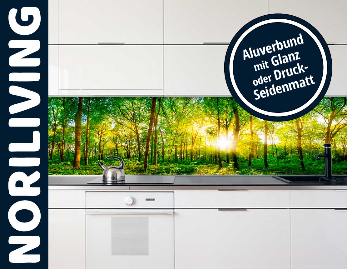 in der Küche eingebaute Küchenrückwand mit Motiv Wald mit Sonnenschein