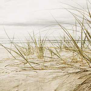 Dünen Strand Motiv