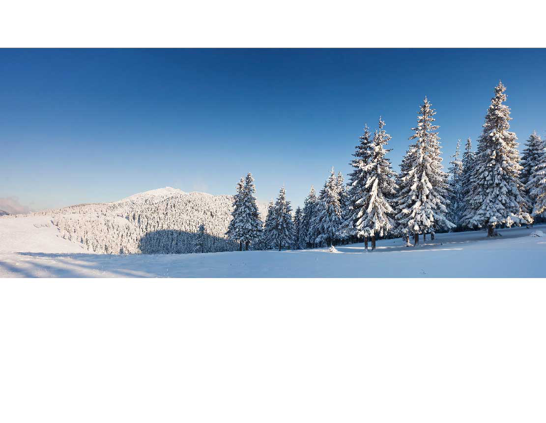 Ansicht des Badrückwand-Motivs Wald im Winter 543