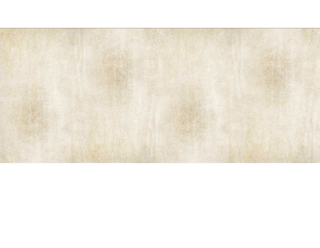 Ansicht des Motivs Badrückwand Alu verkratzte Steinmauer beige 283